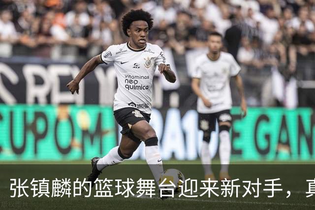 张镇麟的篮球舞台迎来新对手，真是热闹非凡！