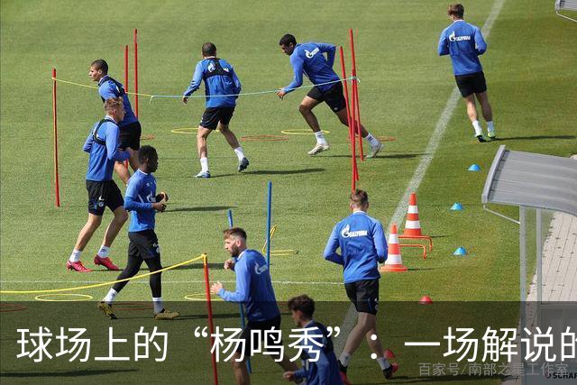 球场上的“杨鸣秀”：一场解说的精彩首秀
