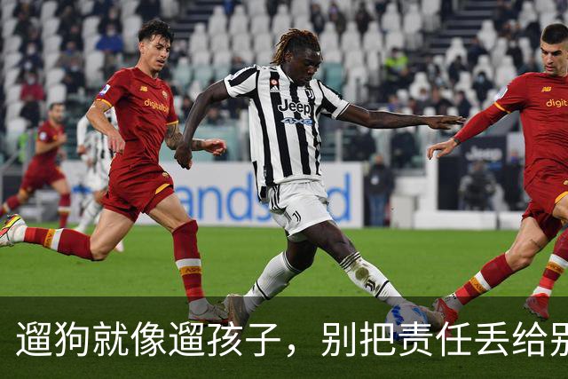遛狗就像遛孩子，别把责任丢给别人！