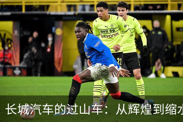 长城汽车的过山车：从辉煌到缩水的五年历险记