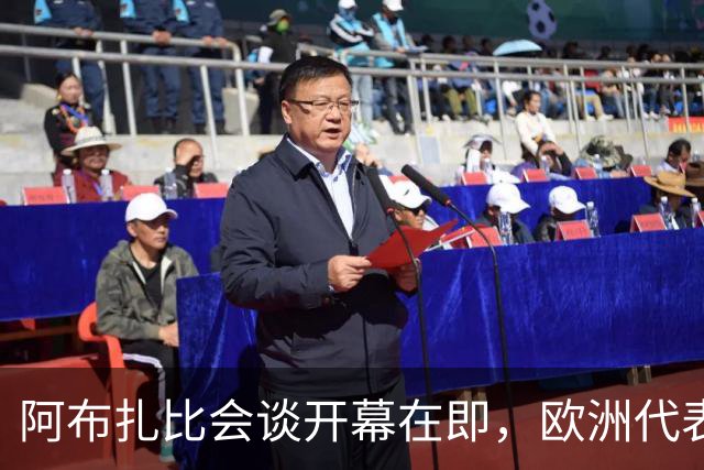 阿布扎比会谈开幕在即，欧洲代表：请自带机票和座位！